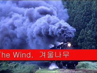 Lou Christie Saddle The Wind