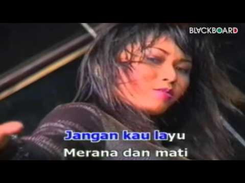INUL DARATISTA - MELATI