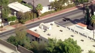 Police chase robbery suspect