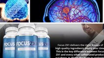 Focus Zx1 Reviews