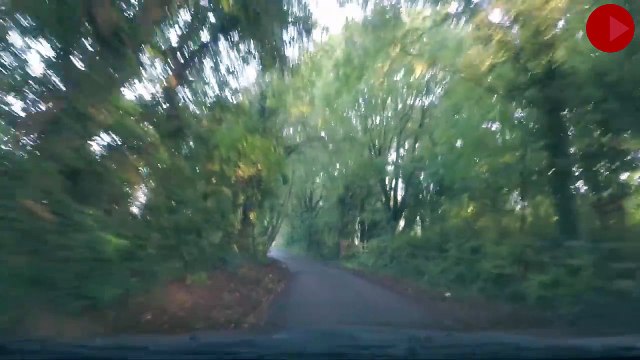 Arabayla yanaşan kadını gasp etmeye çalıştılar