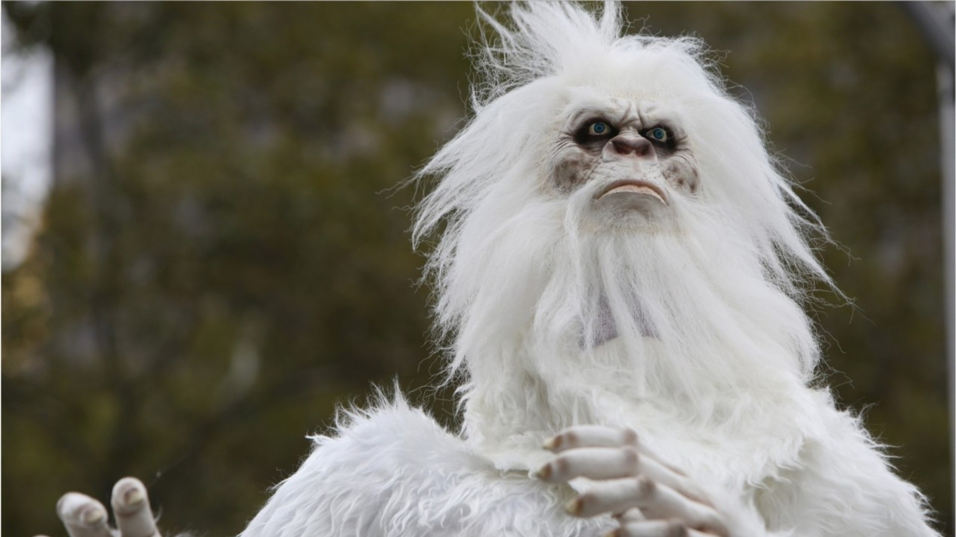 Le Yeti Est Il Un Animal Yéti : l'analyse ADN démonte la légende - Vidéo Dailymotion