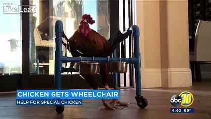 Chick Nails Her Boobs Into A Board!