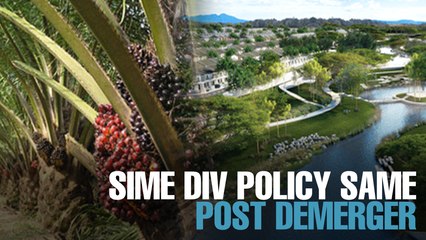 NEWS: Sime Darby div policy to stay the same