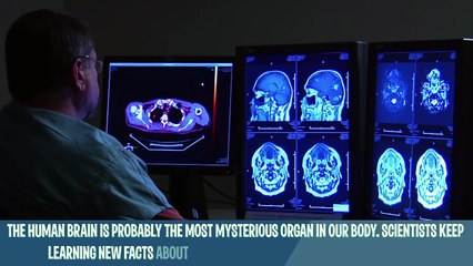 9 Proofs You Can Increase Your Brain Power