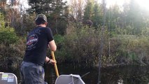Canadian fishermen rescue moose calf drowning in lake