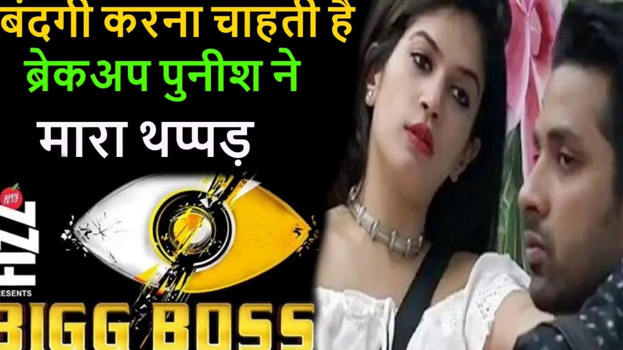 BIGG BOSS 11 _ Bandagi slaps Puneesh sharma in bigg boss show