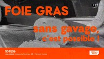 Foie gras sans gavage : c'est possible !