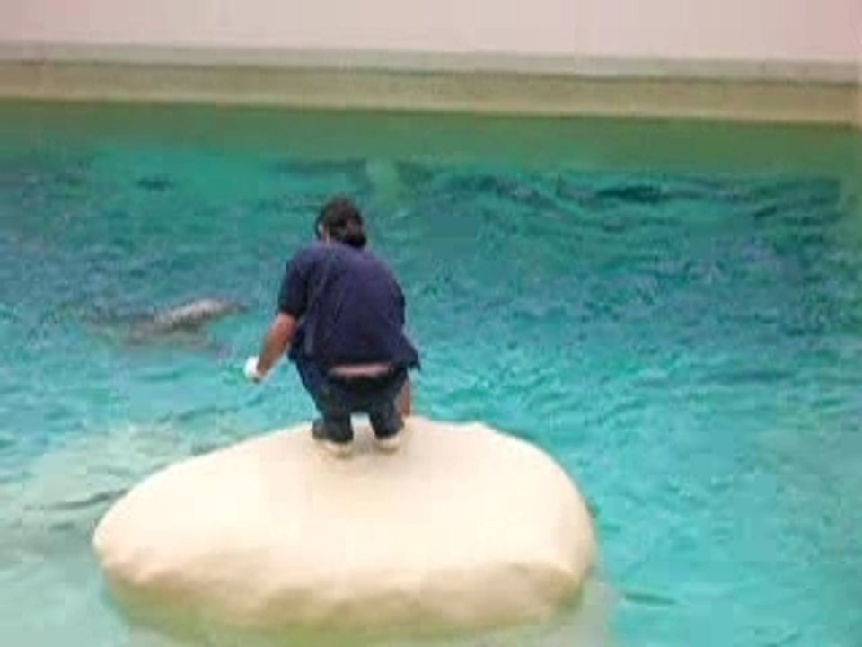 Charly aquarium biarritz