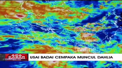 "Usai Badai Cempaka Muncul Dahlia" - Apa Kabar Indonesia Malam