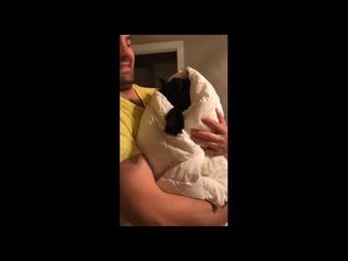 Cat Has Had Enough Attention For One Day