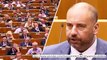 MEPs dazed as they are told UK 'Money Dairy animals' will quit paying for EU states after Brexit