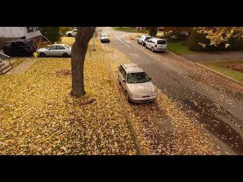Drone Leaf Blower Life Hack