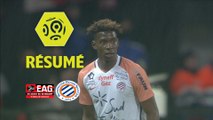EA Guingamp - Montpellier Hérault SC (0-0)  - Résumé - (EAG-MHSC) / 2017-18