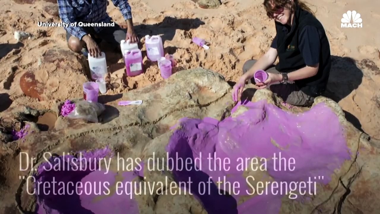 Prehistoric Prints - 'Unprecedented' Dinosaur Discovery In Australia _ Mach _ NBC News-tsZ54PteTSQ