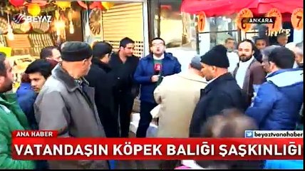 Vatandaşın köpekbalığı şaşkınlığı