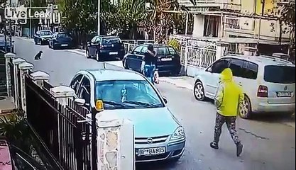 Stray Dog Saves Woman From Robbery