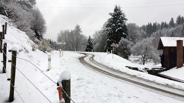 Sébastien Loeb offre des baptêmes de co-pilotage à plusieurs gagnants de concours