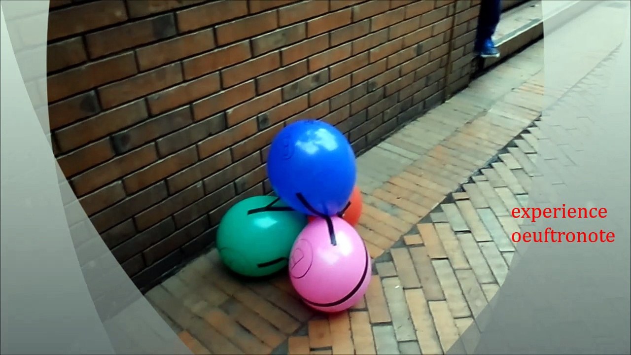 projet  oeuftronote Lucas et Sara