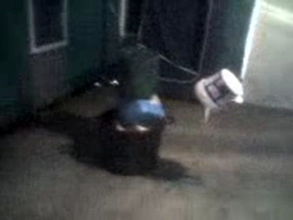Video037
