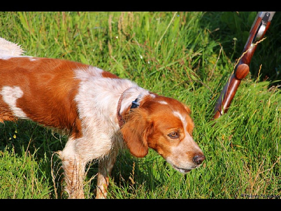 Journées chasse la Grande vente de MACHY 2017