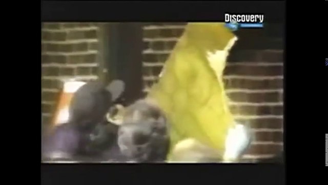 Indice de Maldad - Mentes Maestras