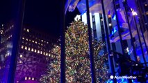 Rockefeller Christmas tree lit up for the season