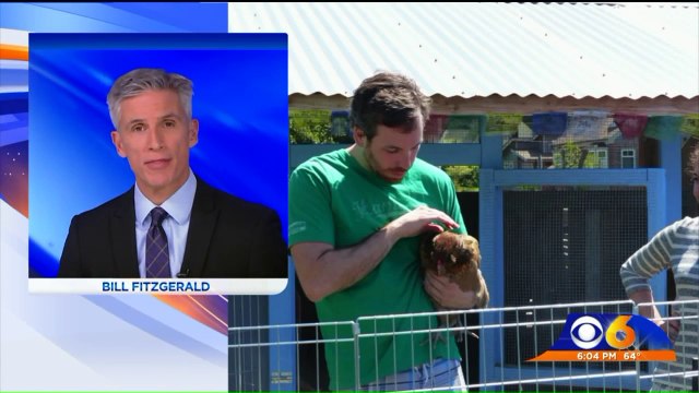 Couple Allegedly Murdered by Virginia Pastor Lived to Help Others, Parents Say