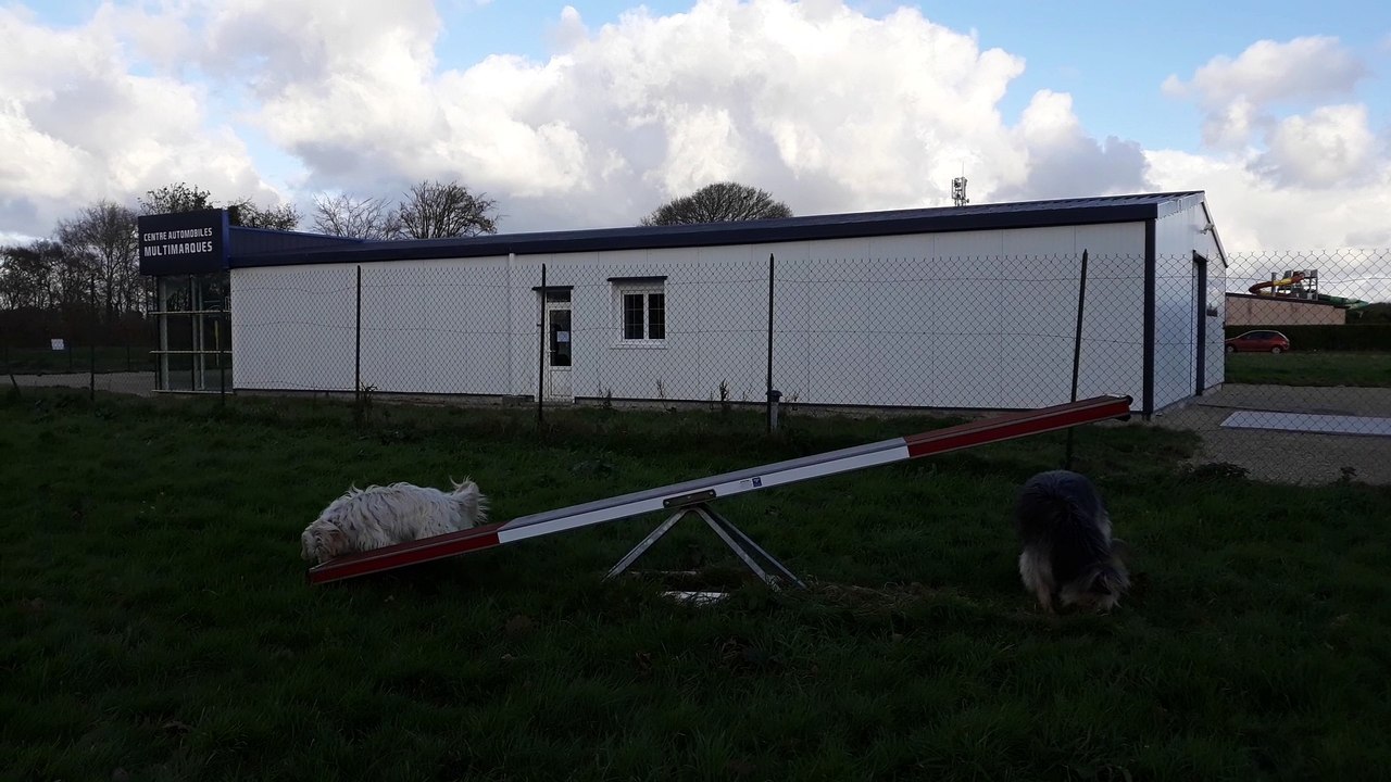 Numéro de cirque Bazil et Benji !!!