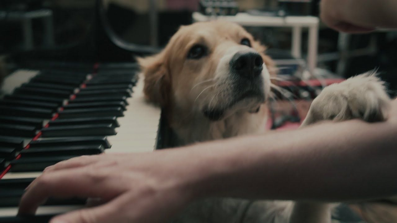 Jouer le solo de guitare de Hotel California avec un piano