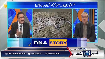 Aglay Haftay Political Animals Ki Shamat Anay Wali Hai: Ch Ghu...