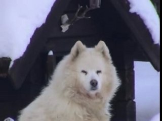 Funasdalen 2006 1ere partie