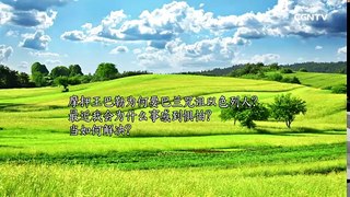 [活泼的生命]07.01.2017 没有人能咒诅神赐福的百姓(民数记22:1~14)