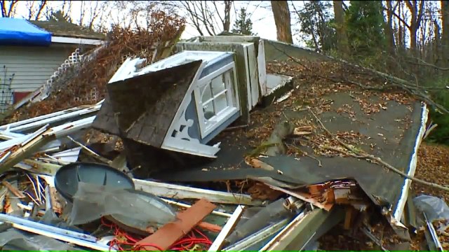 82-Year-Old Man Suffers Multiple Broken Bones After Tree Falls on Him