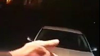 Pitbull attacks car