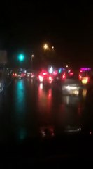 Lumi Lana: Discover the Magic of Light and Fiber ✨