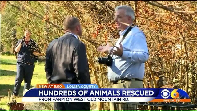 Goats Found on Road Lead Police to Hundreds of Animals in Deplorable Conditions