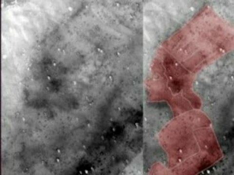 MARS et la TERRE, soeurs jumelles?