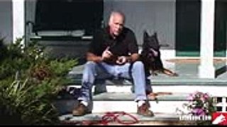 Remote Collar Training for the Pet Owner I DVD Trailer