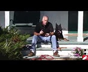 Remote Collar Training for the Pet Owner I DVD Trailer