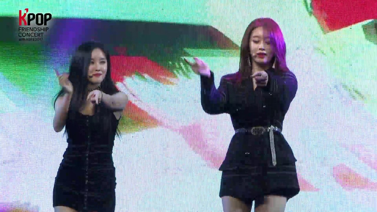 2017 Korea & Vietnam Friendship KPOP Concert [T-ARA - ROLY POLY]