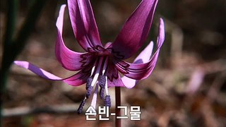 손빈 그물(2017년 신곡)