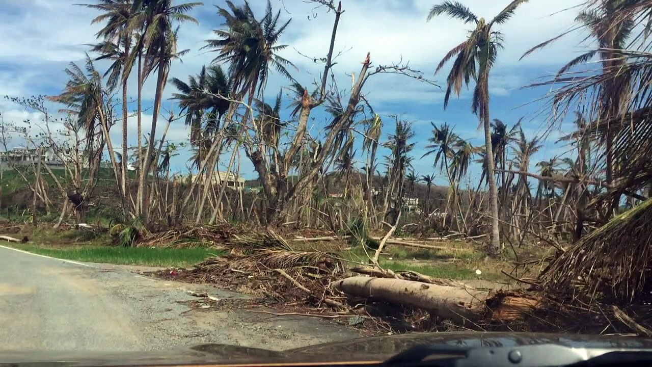 Regresar la electricidad a Puerto Rico, el reto antes de Navidad