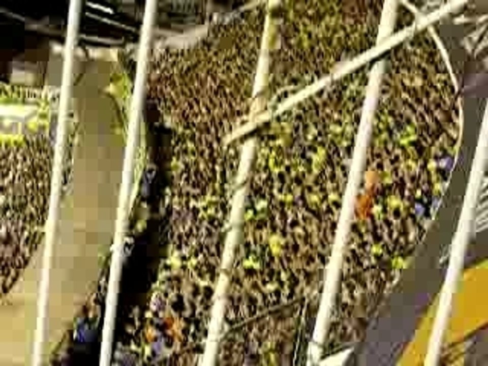 Boca Juniors salida final cruz azul