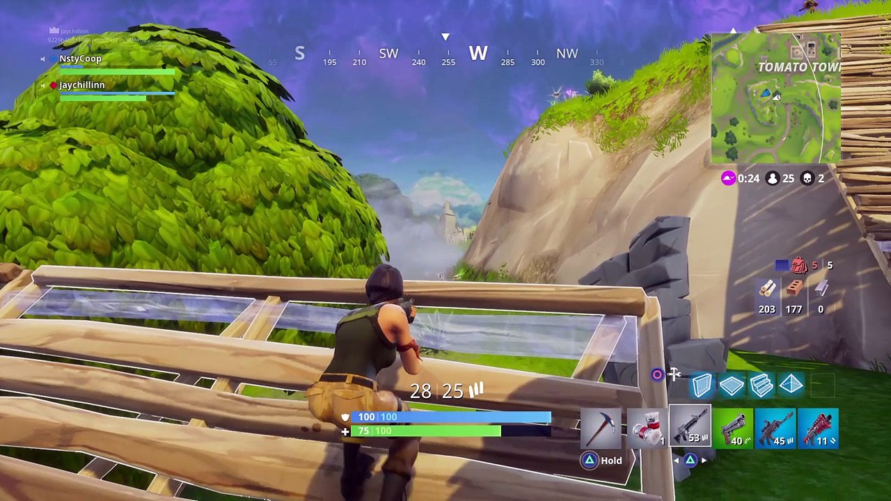 Fortnite_20171130163427