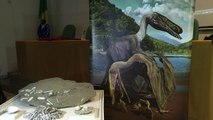 Cientos de huevos fósiles revelan los secretos del pterosaurio