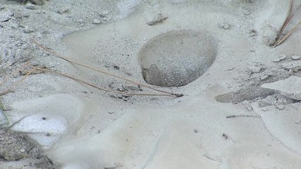 "포항 지진 액상화, 우려할 만한 수준 아니다" / YTN