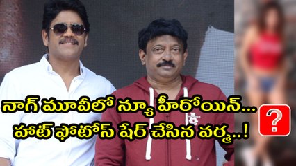 నాగ్ మూవీలో న్యూ హీరోయిన్.. హాట్‌ ఫోటోస్ షేర్ చేసిన వర్మ!