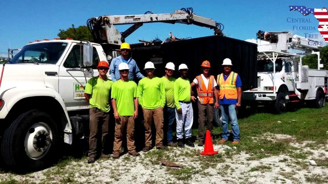 Central Florida Tree Care: We Provide Quality Tree Services in Lakeland, FL