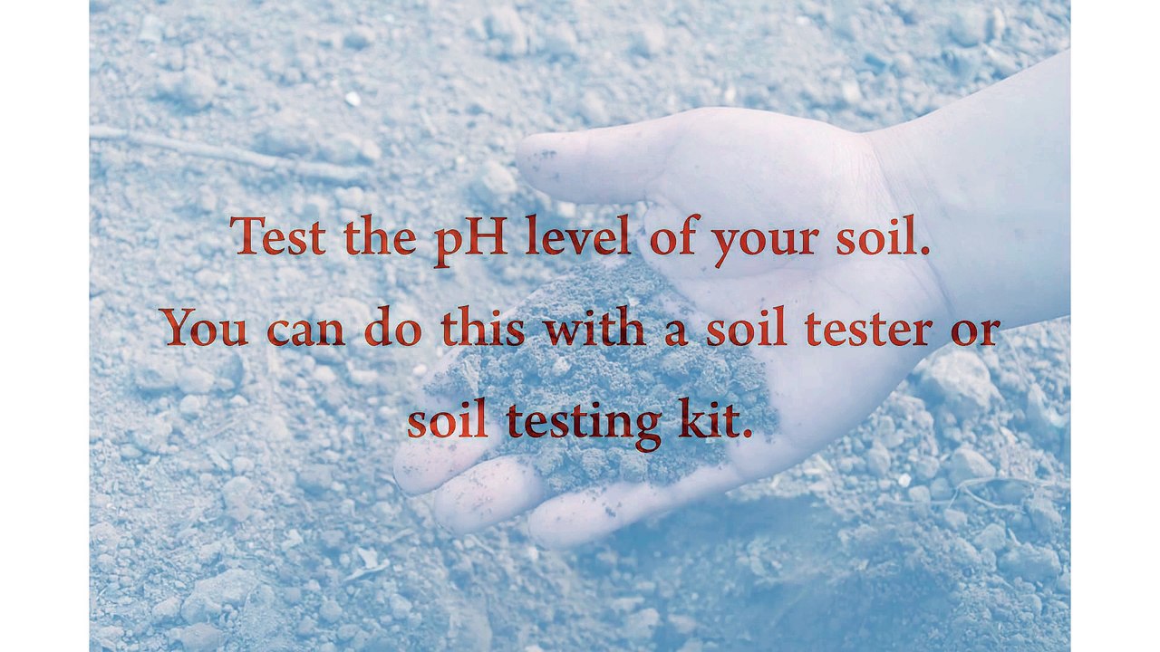 Agricultural Products in the Philippines - Tips for Picking a Fertilizer